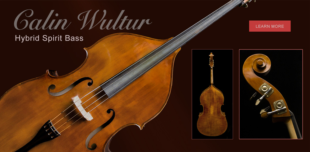 Website banner design
- Studio Photography.